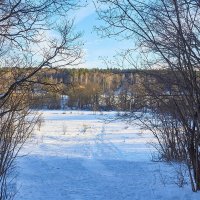 Зимняя прогулка :: Ард Прохоров