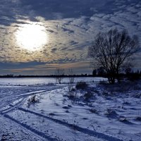 ... когда Светило светит... :: Александр Бойко