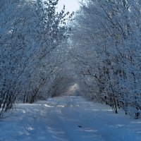 Зима в Самаре :: Николай Картаев