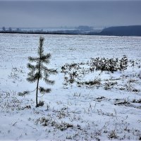 Если выйти за ворота... :: Валерий Талашов