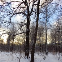 В Москве - зима :: Андрей Лукьянов