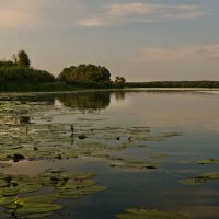 Озеро Струпино :: Александр Березуцкий (nevant60)