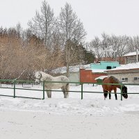 8904f :: Аркадий Лаптенко