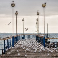 У причала. :: Александр Криулин