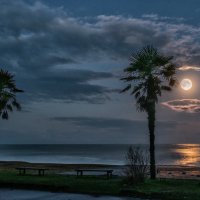 Лунный закат. :: Александр Криулин