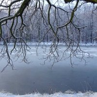 В парке зимой :: Маргарита Батырева