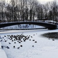 Зимний Смоленск :: Милешкин Владимир Алексеевич 