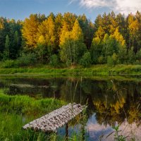 Вечер на Луговом озере :: Александр Березуцкий (nevant60)