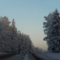 Зимний пейзаж на трассе Ижевск – Глазов :: Владимир Максимов