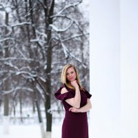 снежный день :: Татьяна Михайлова