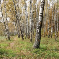 Осень :: Владимир Холодницкий