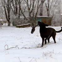 Мороз играм не помеха :: Татьяна Смоляниченко