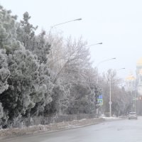 Пасмурно и туманно :: Юрий Гайворонский