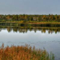 Озёра Смоленщины :: Милешкин Владимир Алексеевич 