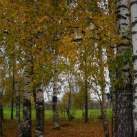 Осень :: Александр Попков