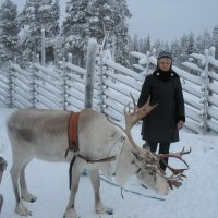 Олений парк Саллы :: Елена Павлова (Смолова)