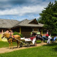 Пастораль. :: Владимир Безбородов