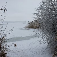 Просто зима.. :: ЕВГЕНИЯ 