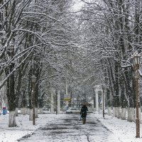 Зима началась в ноябре :: Игорь Сикорский