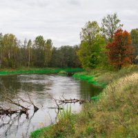 река Руза осенью :: Андрей Куприянов