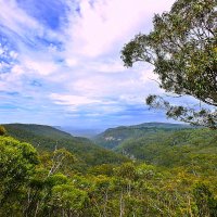 The Blue Mountains, Katoomba, NSW. 31/12/2016. :: Rauf 