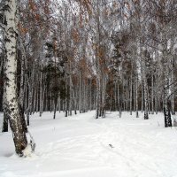 Серия " Зима " №3 :: Мила Бовкун