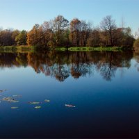 Осень на озере Усовье :: Александр Березуцкий (nevant60)