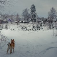 Деревни Вологодчины... :: Федор Кованский