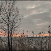 Зимний вечер на Нововоронежском водохранилище :: Юрий Клишин