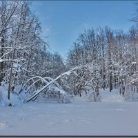 На закате прогулялись. :: Юрий Ефимов