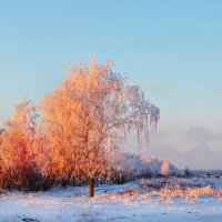 за околицей... :: Клара 