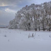 Припорошило :: Константин 