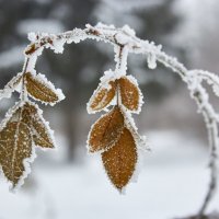 * :: Евгений Лобойко