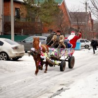 Сватовство :: Юлия Клименко