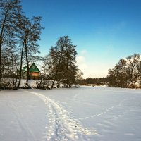 Зима на Тамбовщине. Река Цна замерла. :: Александр Тулупов