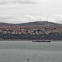 Стамбул :: Tata Wolf