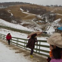 спуск/подъем :: Наталья Введенская