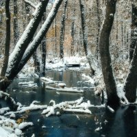 И речка подо льдом блестит... :: Борис Елисеев