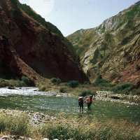 ОЗЕРО. Старые слайды. :: Виктор Осипчук