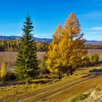 Осенний пейзаж :: Анатолий Иргл