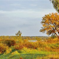 Осень. :: Валера39 Василевский.