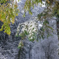 Зимняя сказка :: Леонид Соболев