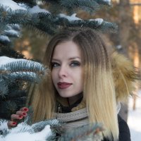 winter :: Антон Криухов