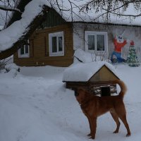 " Не дышите на искусство!" :: Galina S*