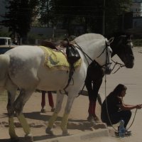 дай водички,родная) :: Ксения Забара