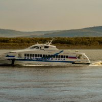 Из Хабаровска в Комсомольск-на-Амуре. :: Виктор Иванович Чернюк