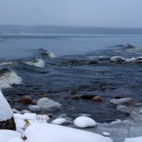 Ладожское озеро в январе. :: Николай Цитович 