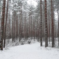 .. :: Михаил Жуковский