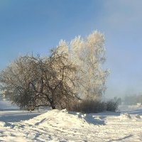 Ч/Б... :: Игорь Суханов