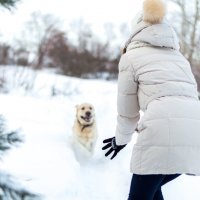 Сейчас поймаю :: Наталья Величко